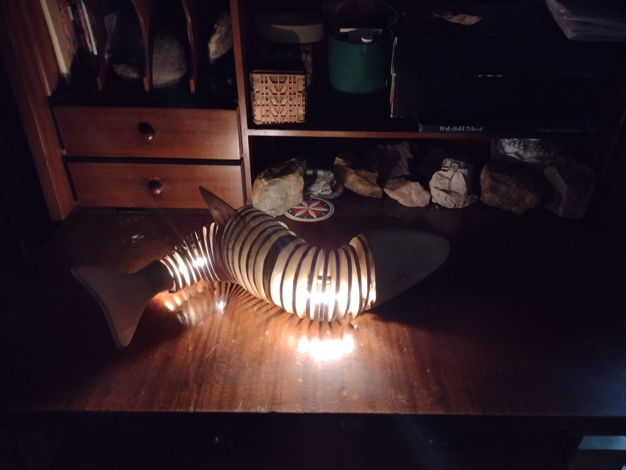 Fish Lamp